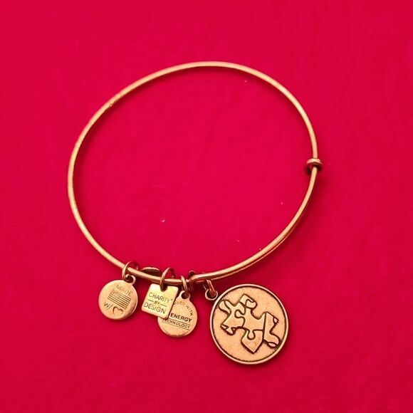 Alex and Ani Silver Bangle Bracelet with Puzzle Piece Charm - Picture 1 of 1